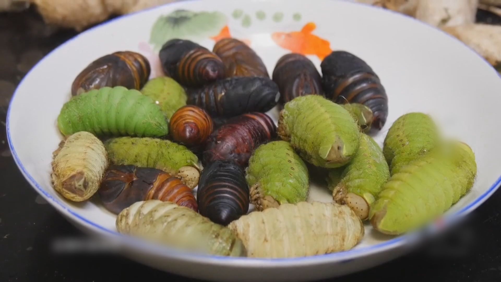 新加坡批准進口與銷售16種昆蟲及其製品作食物用途