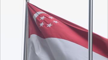 基孔肯雅熱｜新加坡今年錄17宗病例　若風險增或採額外公共衞生措施