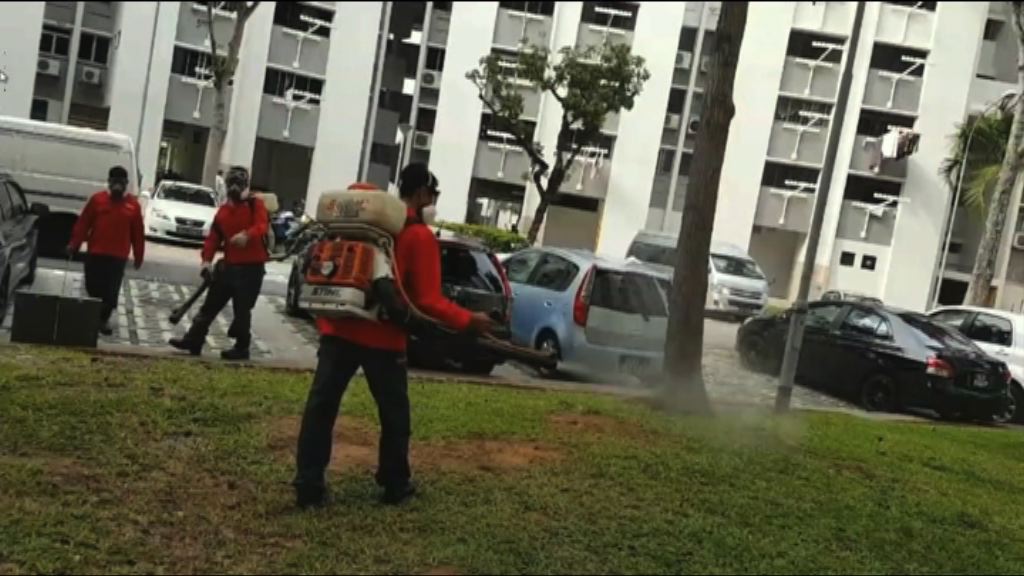 新加坡本土寨卡個案屬東南亞病毒株