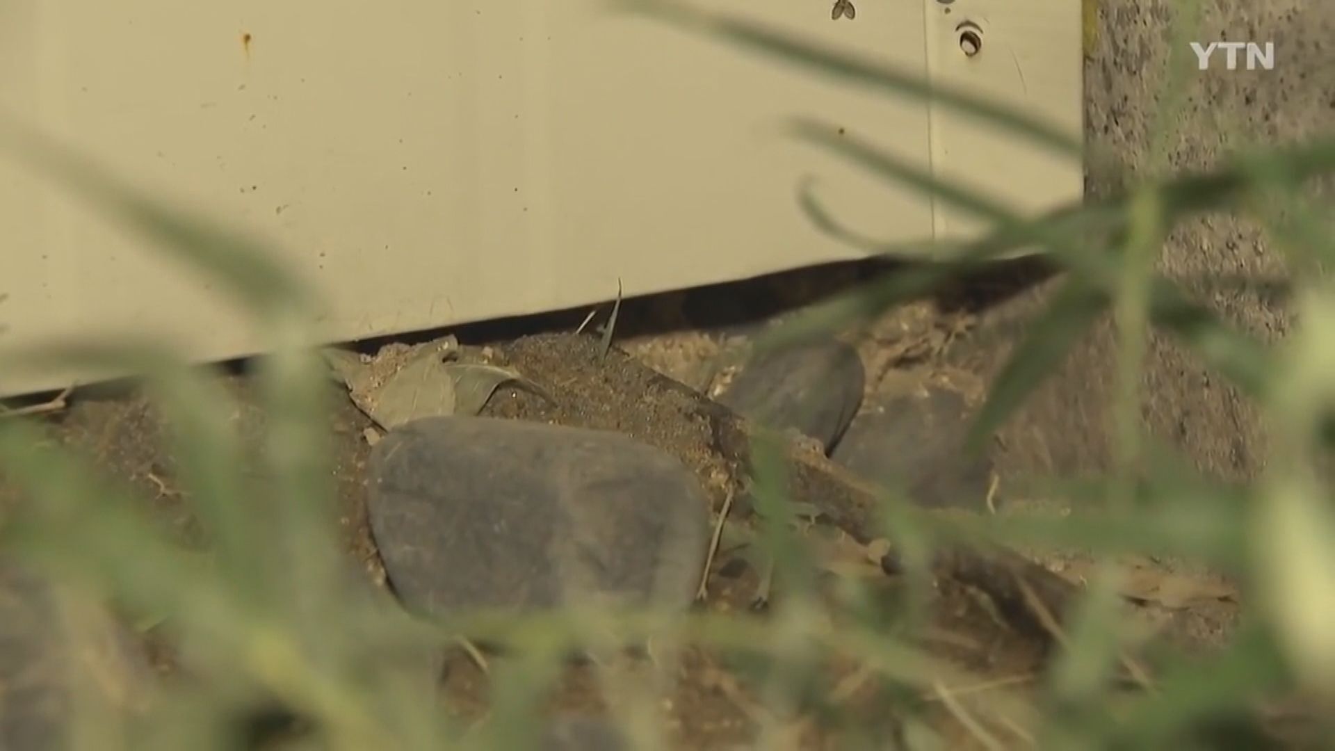 印尼男子抵韓後隔離期間挖洞逃走被判緩刑