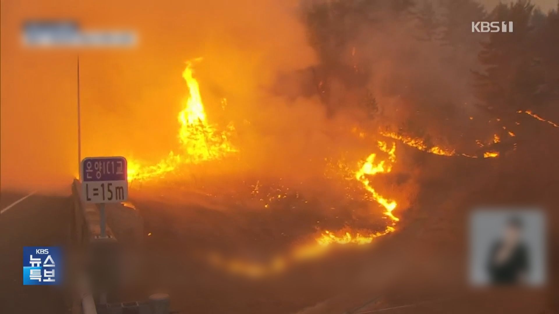 南韓山火　多處頒布國家災難狀態