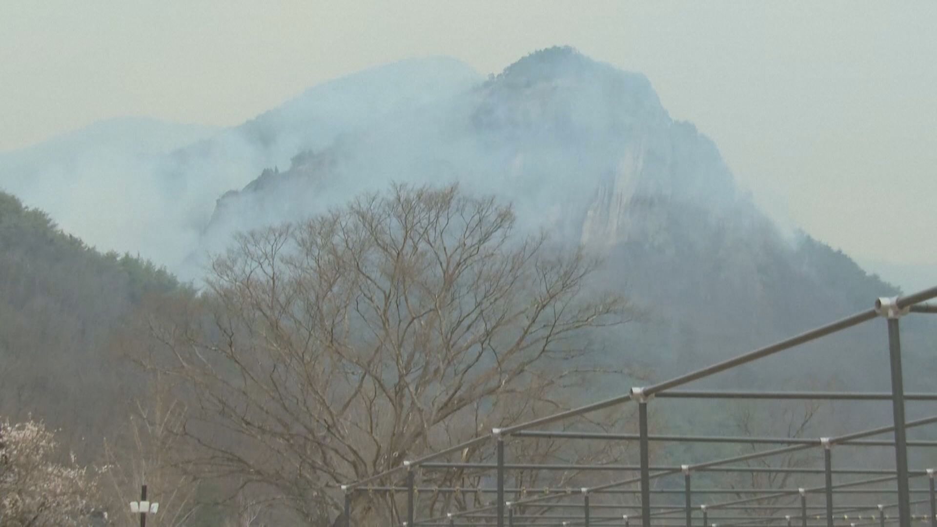 南韓東南部山火增至27人亡　火場面積當地史上最大