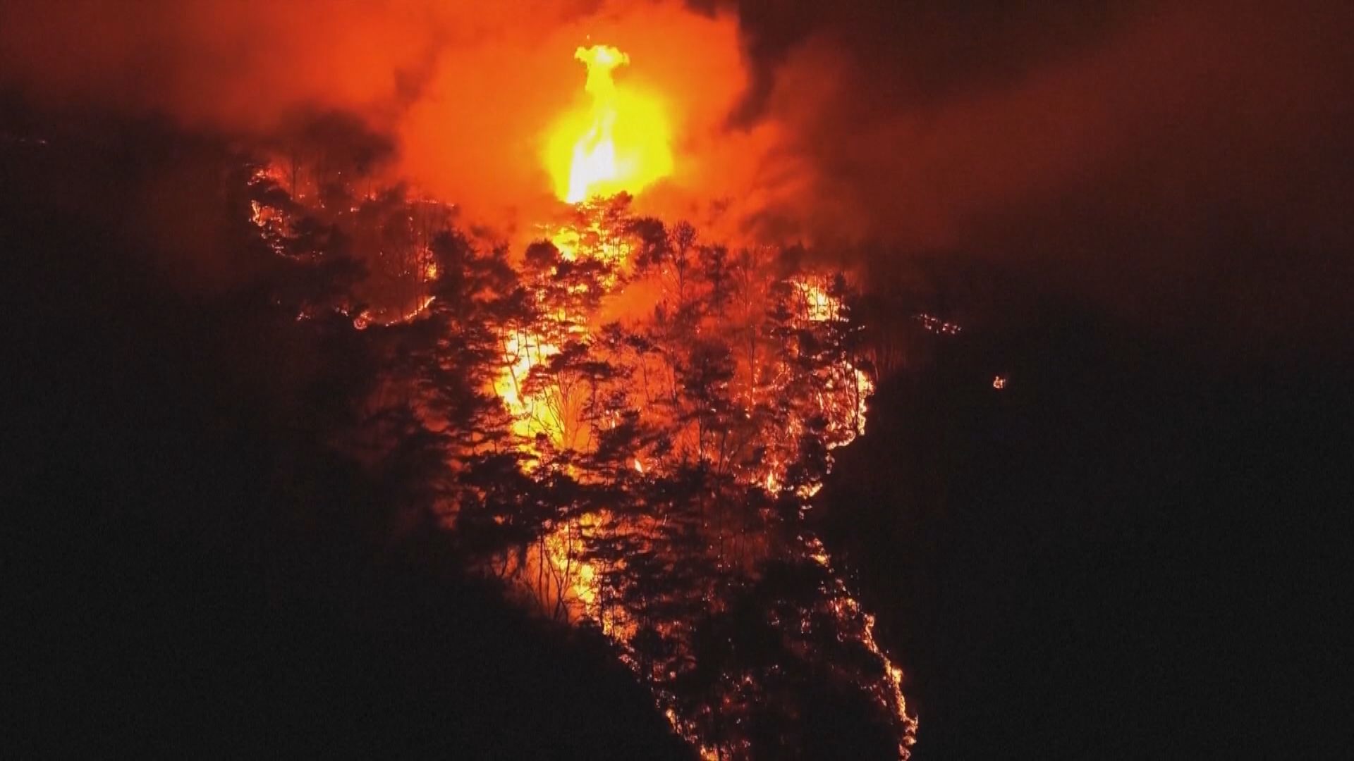 南韓山火面積一天內翻倍　成當地歷來最大山火