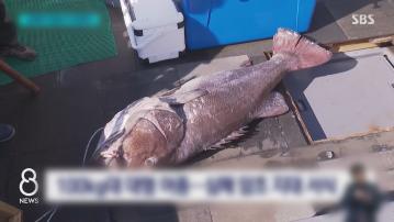 南韓漁民捕獲罕見巨型深海魚引發大地震擔憂　專家稱無根據