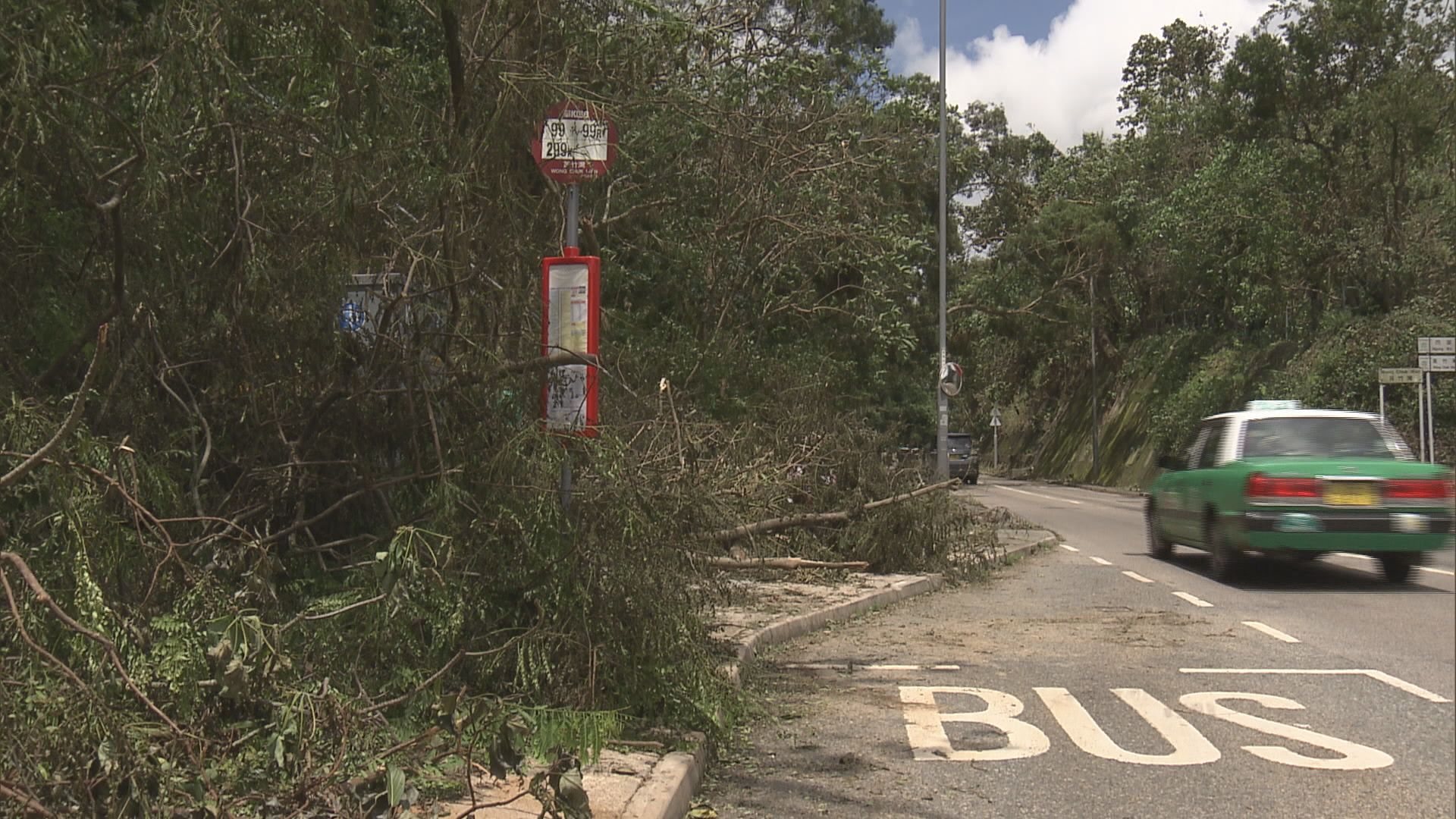 西沙路塌樹待清理　巴士服務未恢復