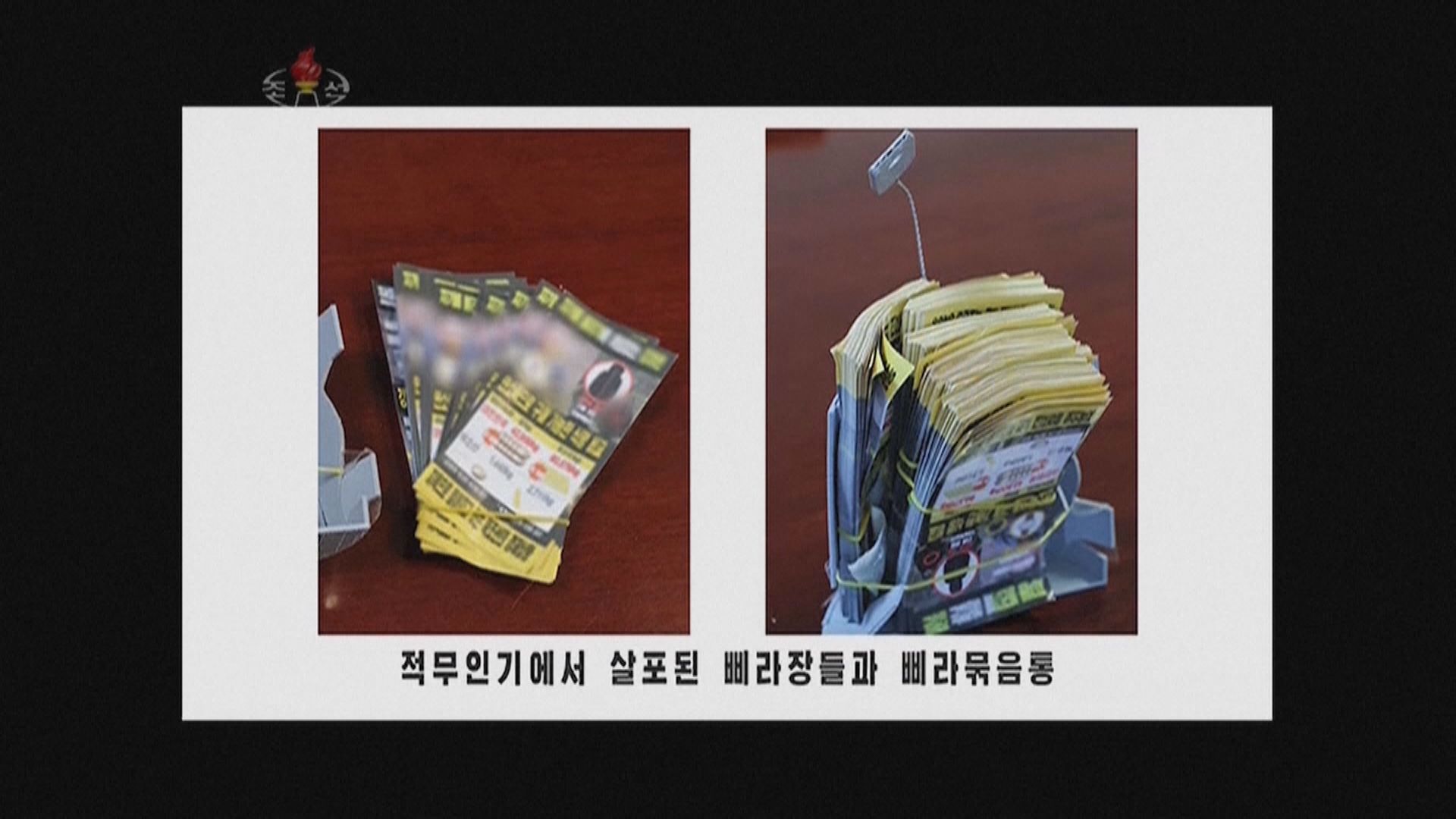 南韓賦權警方阻止向北韓散播反朝傳單