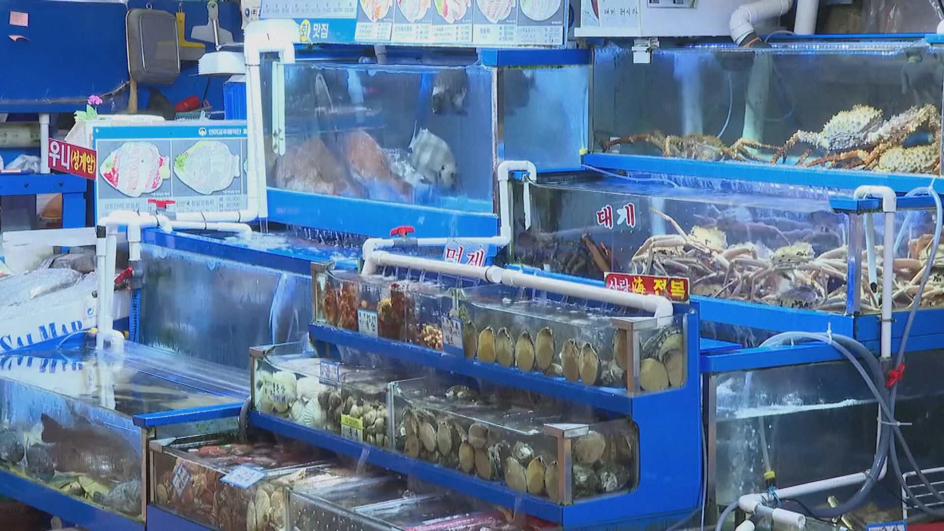 南韓擴大出貨前輻射檢測至養殖水產品