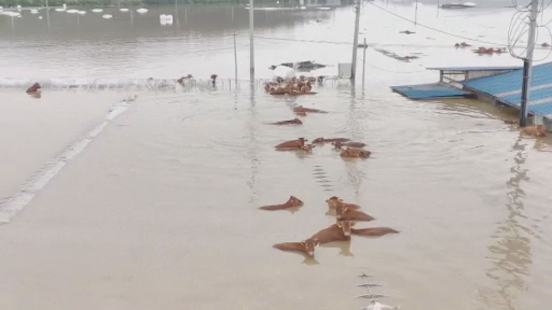 南韓暴雨成災最少四十死 尹錫悅到災區視察