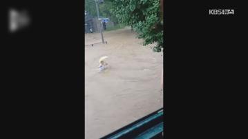 南韓暴雨成災馬路水深及胸　至少4死、逾5000人疏散 