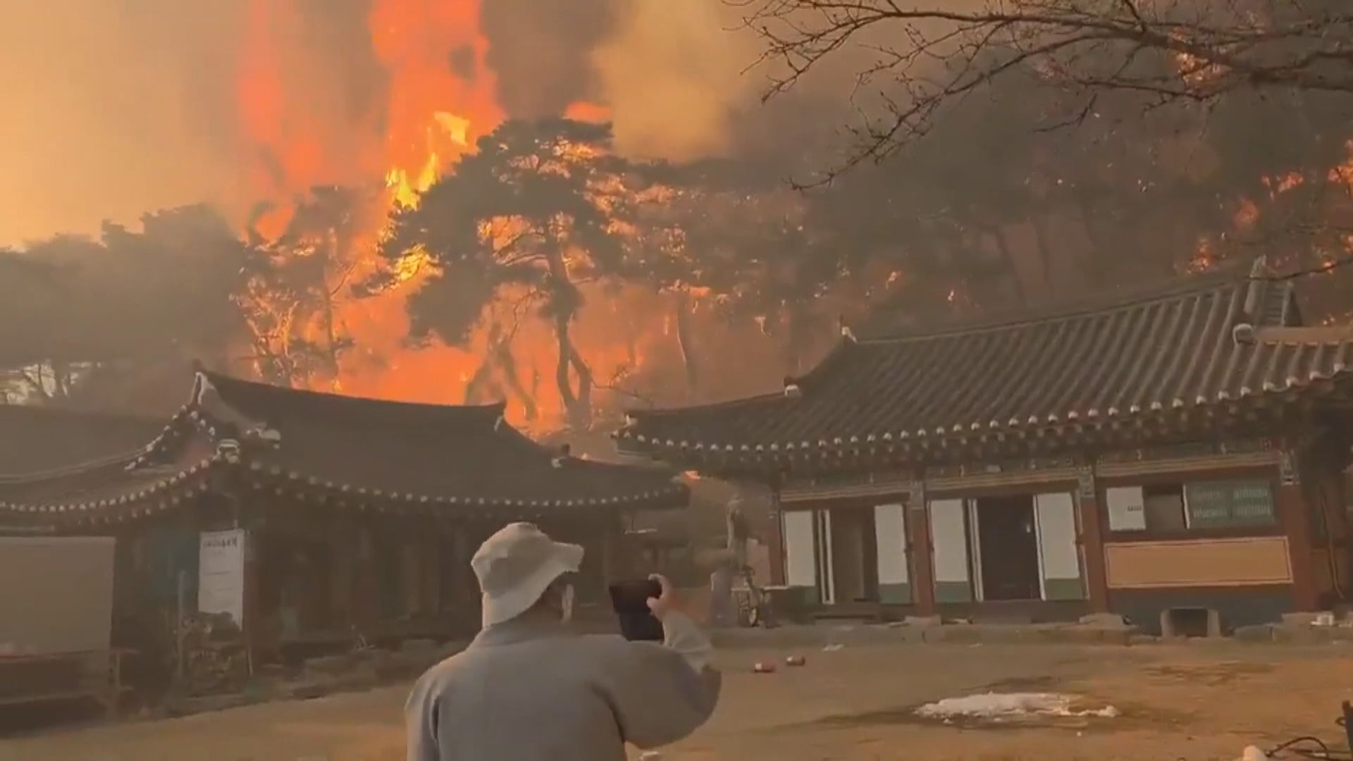 南韓東南部山火仍未救熄　強風及乾燥令火勢難以受控