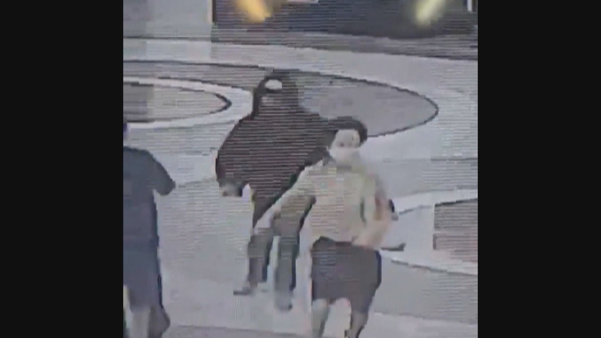 南韓男子駕車撞向行人再闖百貨公司持刀傷人 最少13傷