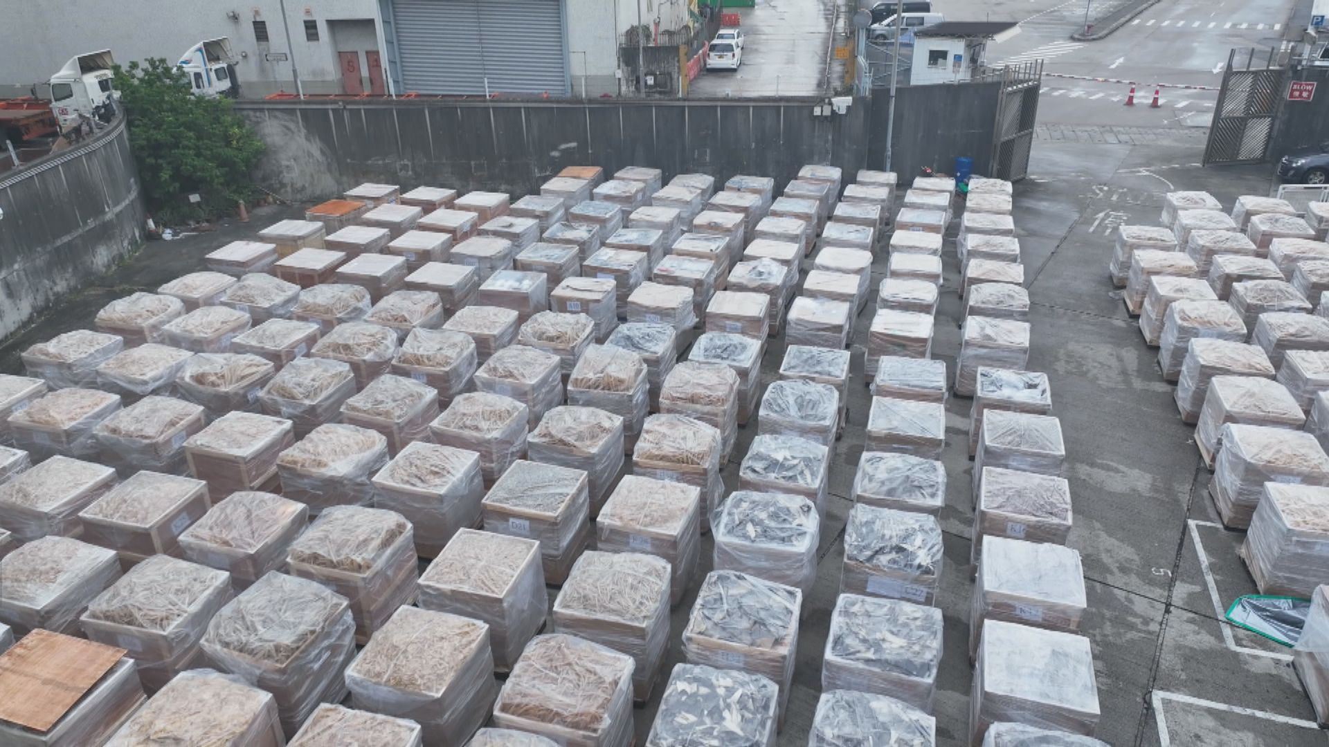 海關破今年最大宗海路走私案貨值約三億元