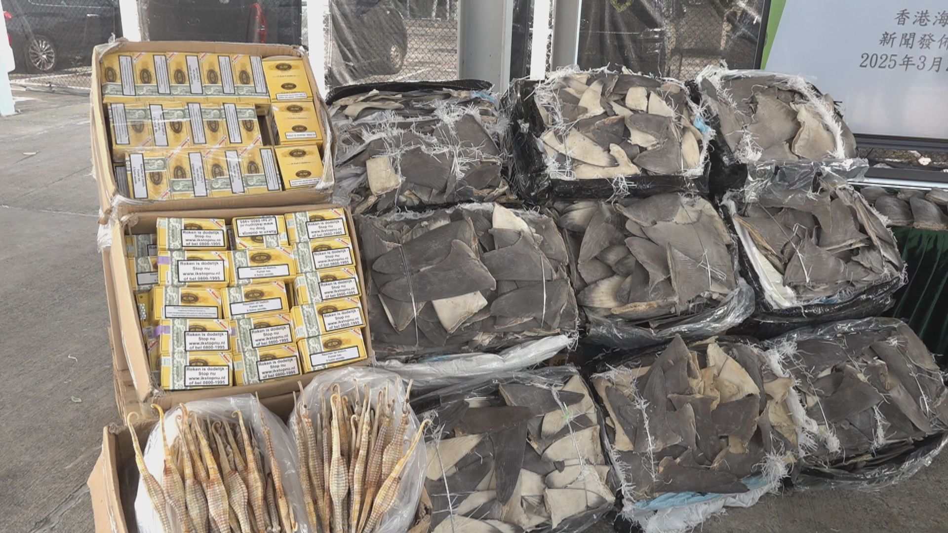 海關反走私檢獲乾魚翅等貨品　市值約2500萬元拘四人