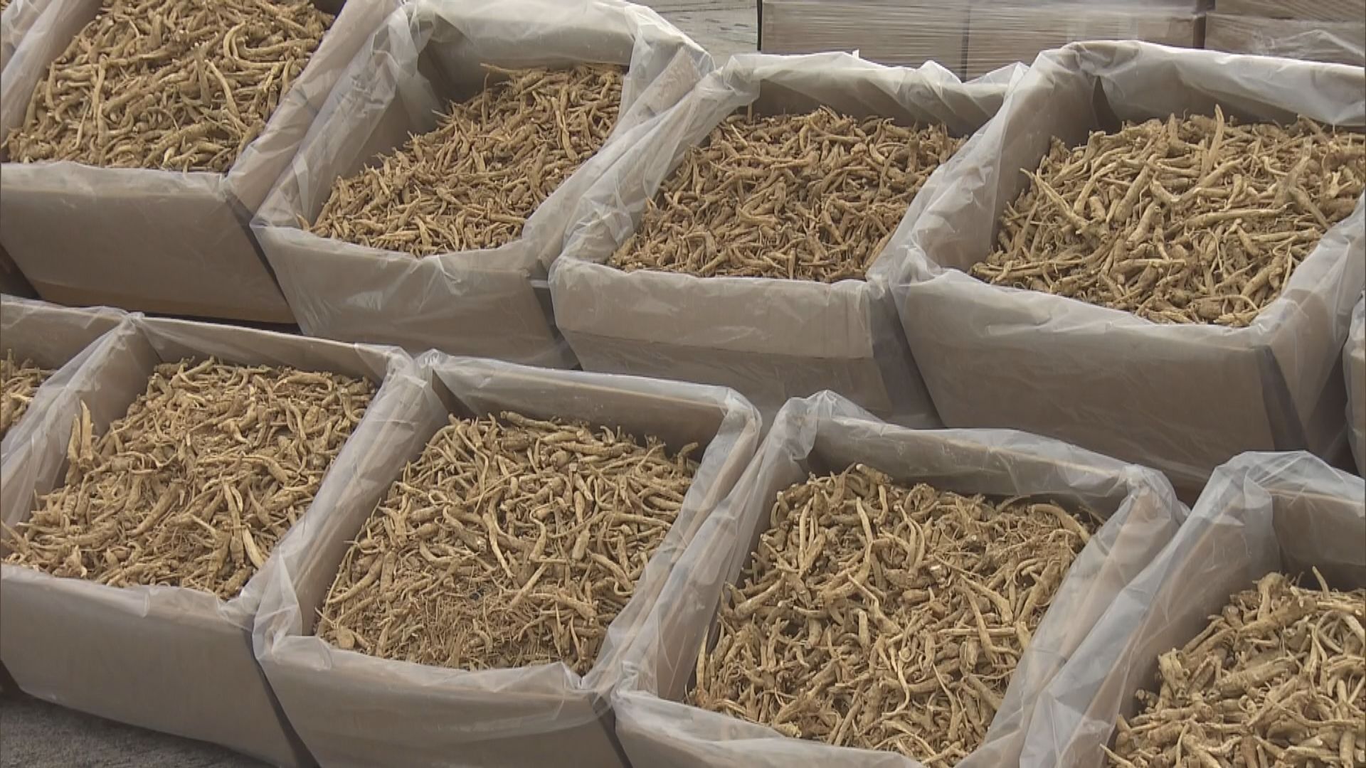 水警檢獲34噸走私花旗蔘　拘7本地男子