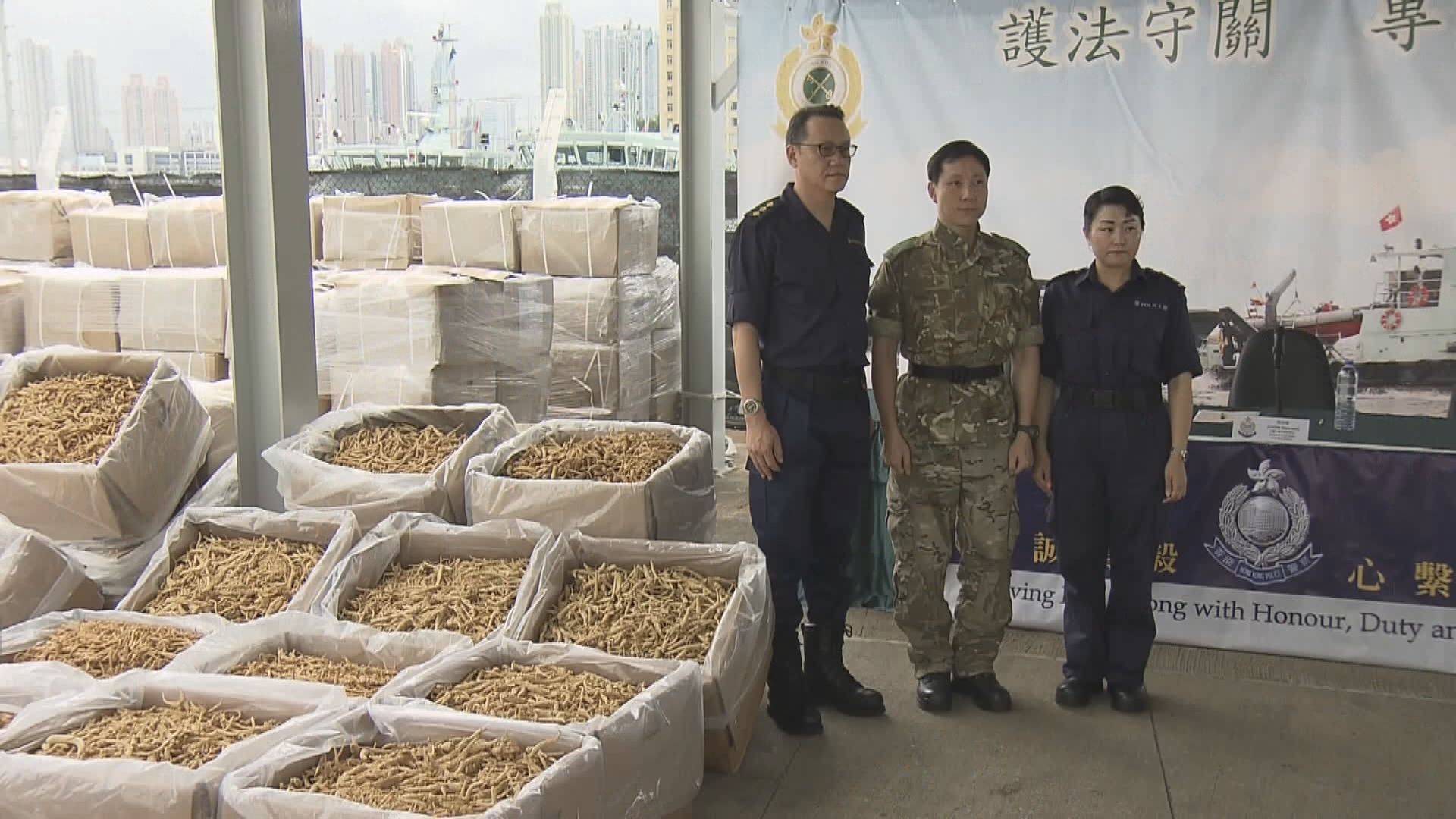 水警檢34噸走私花旗蔘　指不法分子借三跑工程作掩護