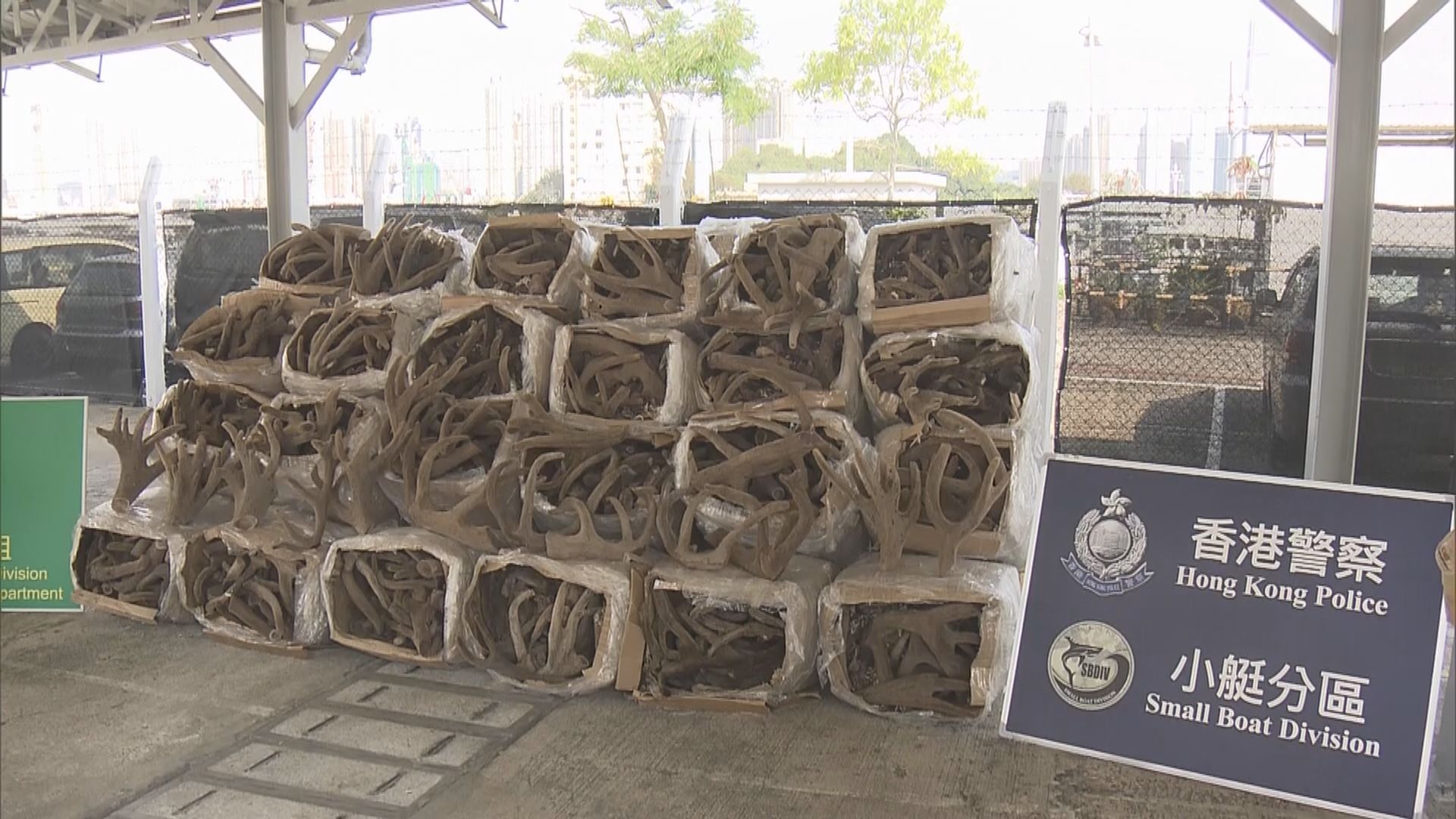 快艇涉走私1.6噸鹿茸往內地　兩內地男子被捕