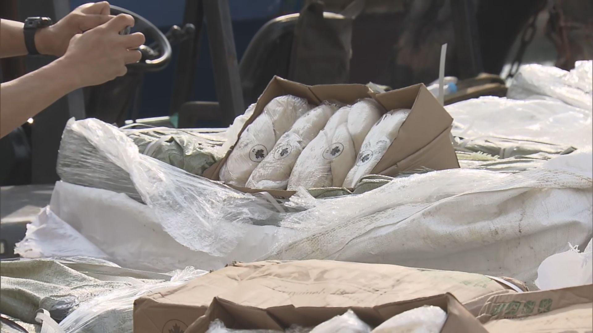 海關檢約40噸懷疑走私凍肉拘9人