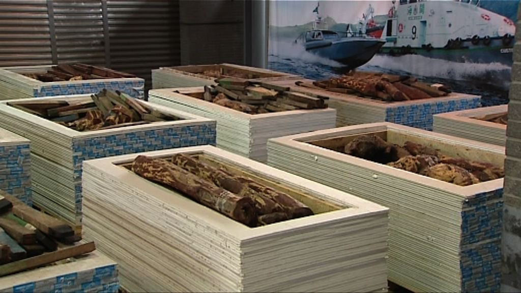 海關檢走私紫檀木市值690萬