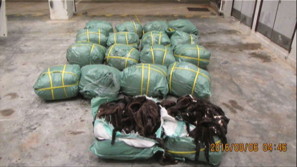 水警西貢檢獲170萬走私動物皮毛