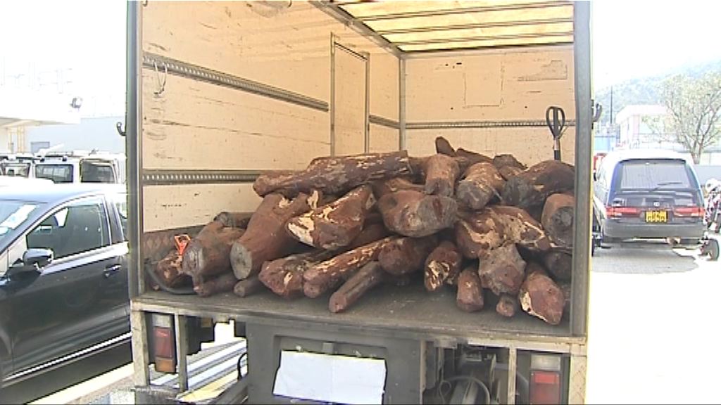 警方瓦解紫檀木走私集團 拘十人