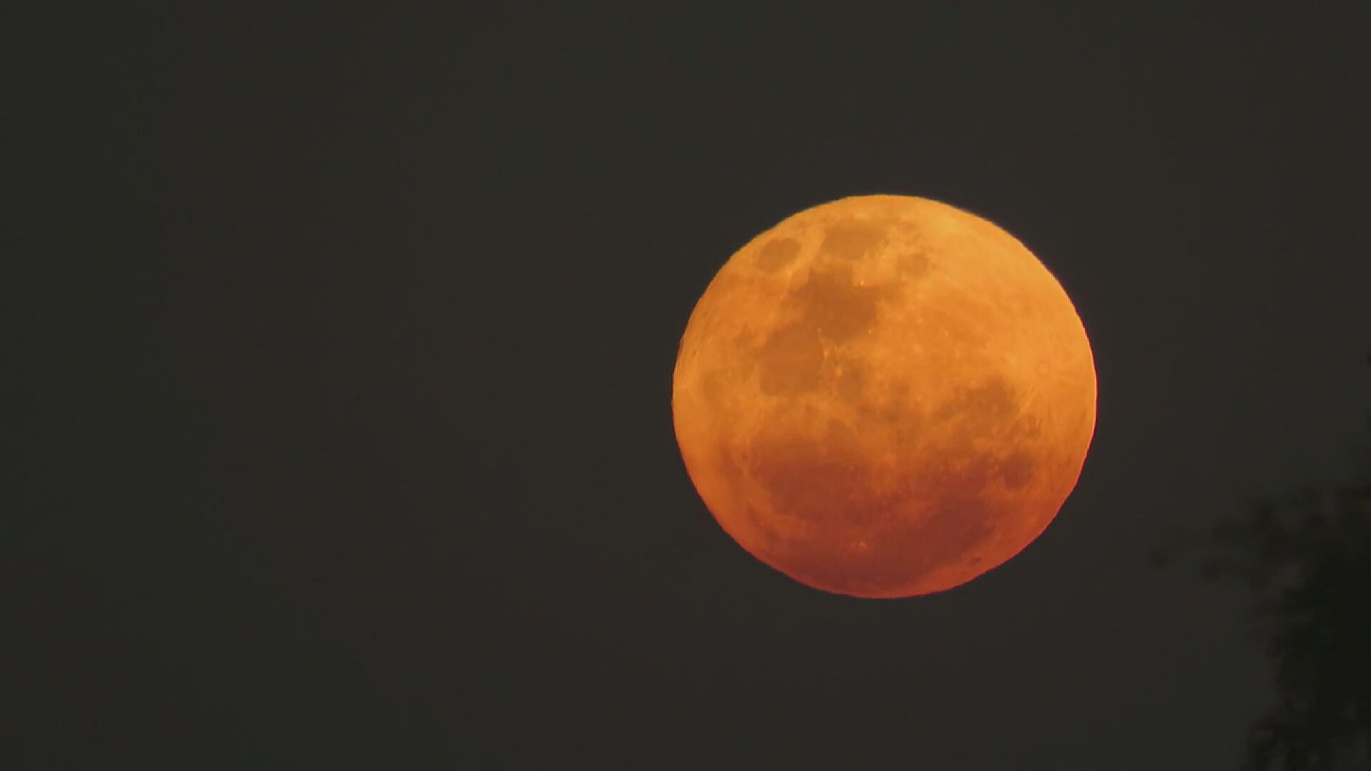 7月3日出現今年首個「超級月亮」