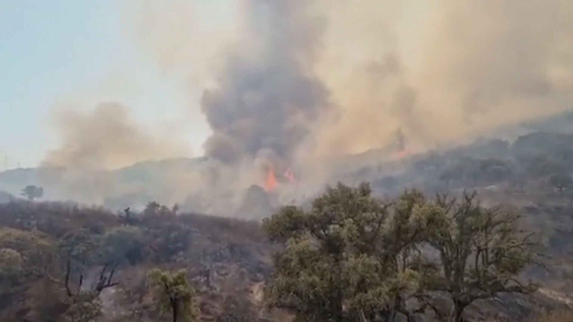 受熱浪影響西班牙山火繼續蔓延