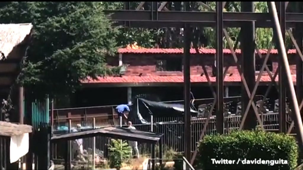 西班牙馬德里過山車相撞多人傷