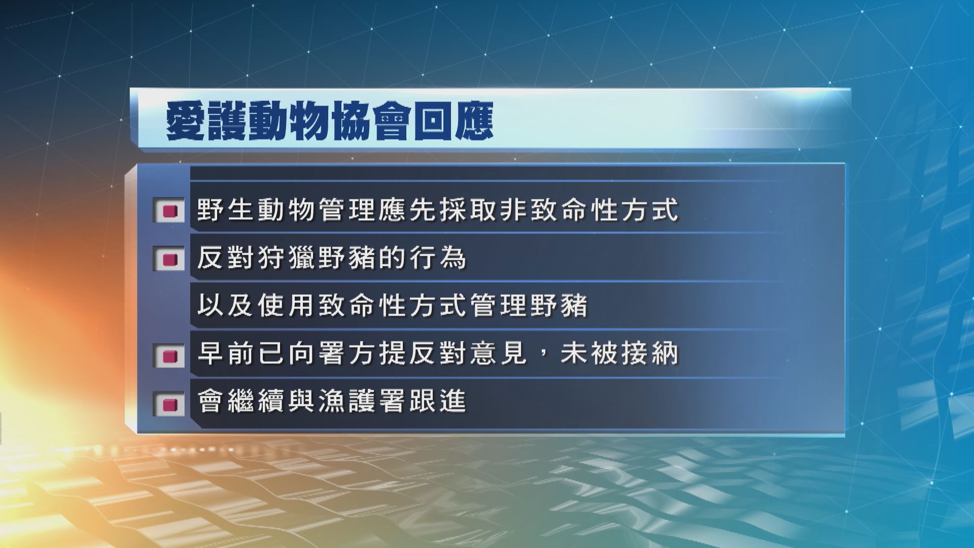 愛護動物協會反對狩獵野豬行為及用致命性方式管理野豬