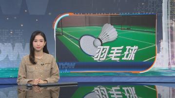 羽毛球世錦賽　鄧謝配擊敗印尼組合晉混雙十六強