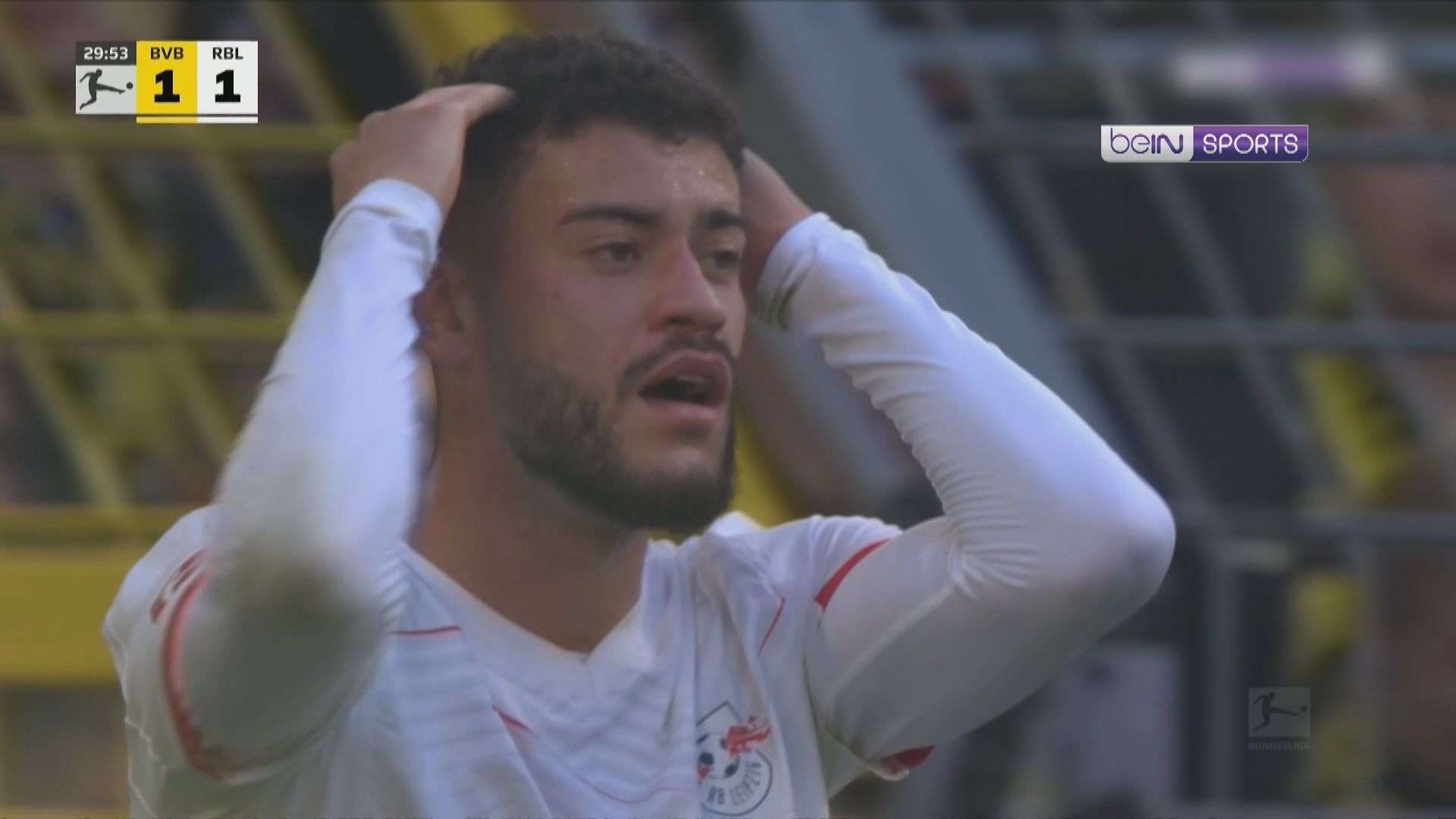 德甲　多蒙特 1:1 萊比錫