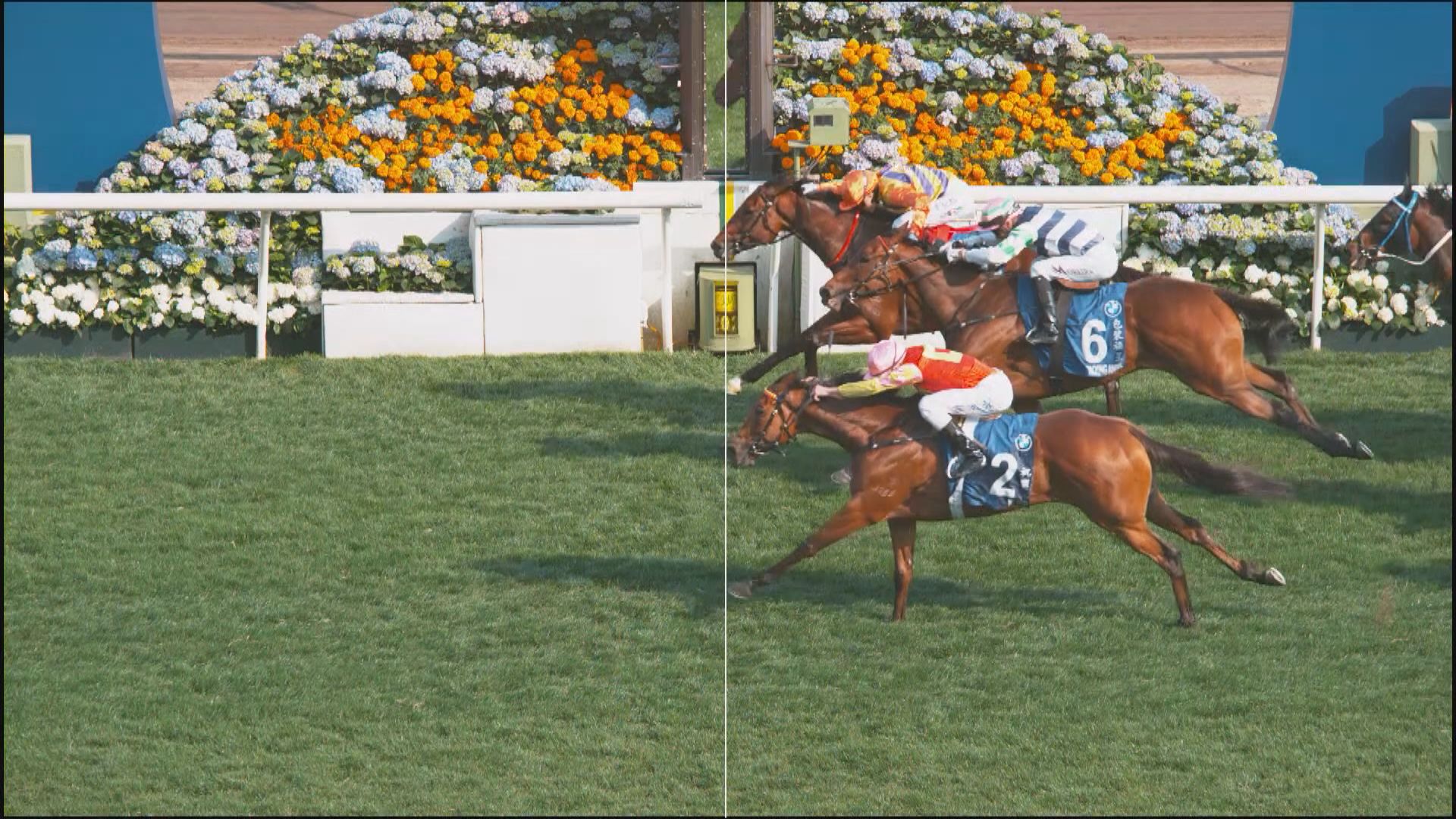 香港打吡大賽　韋紀力策騎「百賀飛駒」奪標