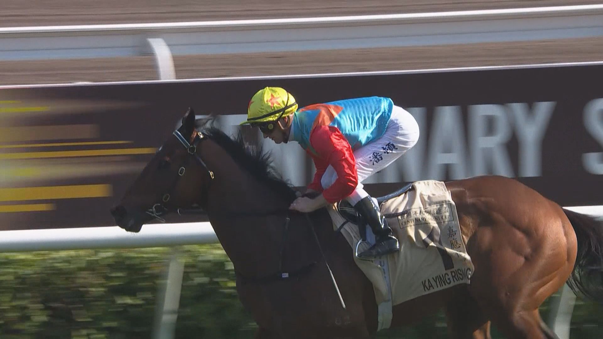 短途馬王｜「嘉應高昇」挾十一連勝之勢　力爭「短途三冠王」寶座