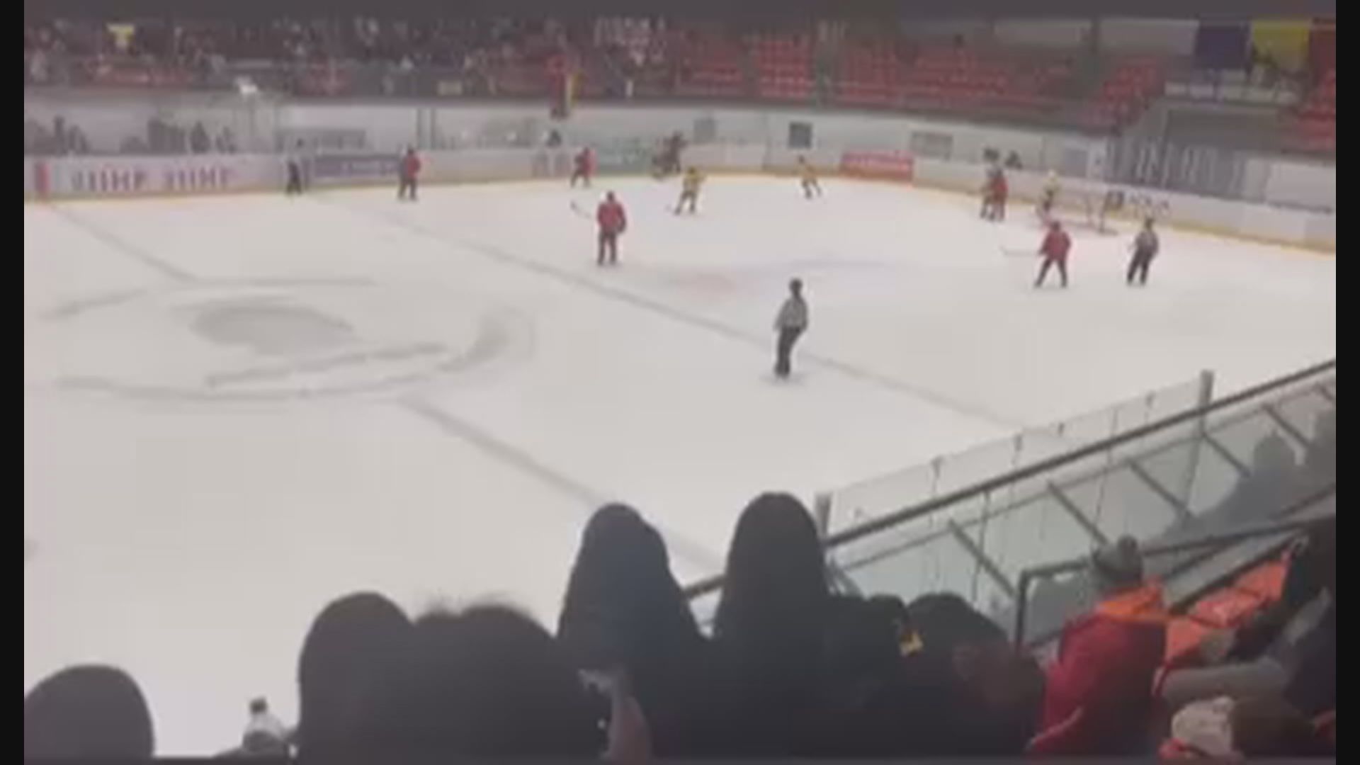 香港女子冰球隊世錦賽小組奪冠