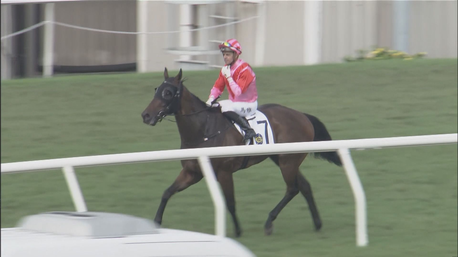 見習騎師學校50周年紀念盃　祥勝霸駒奪得冠軍