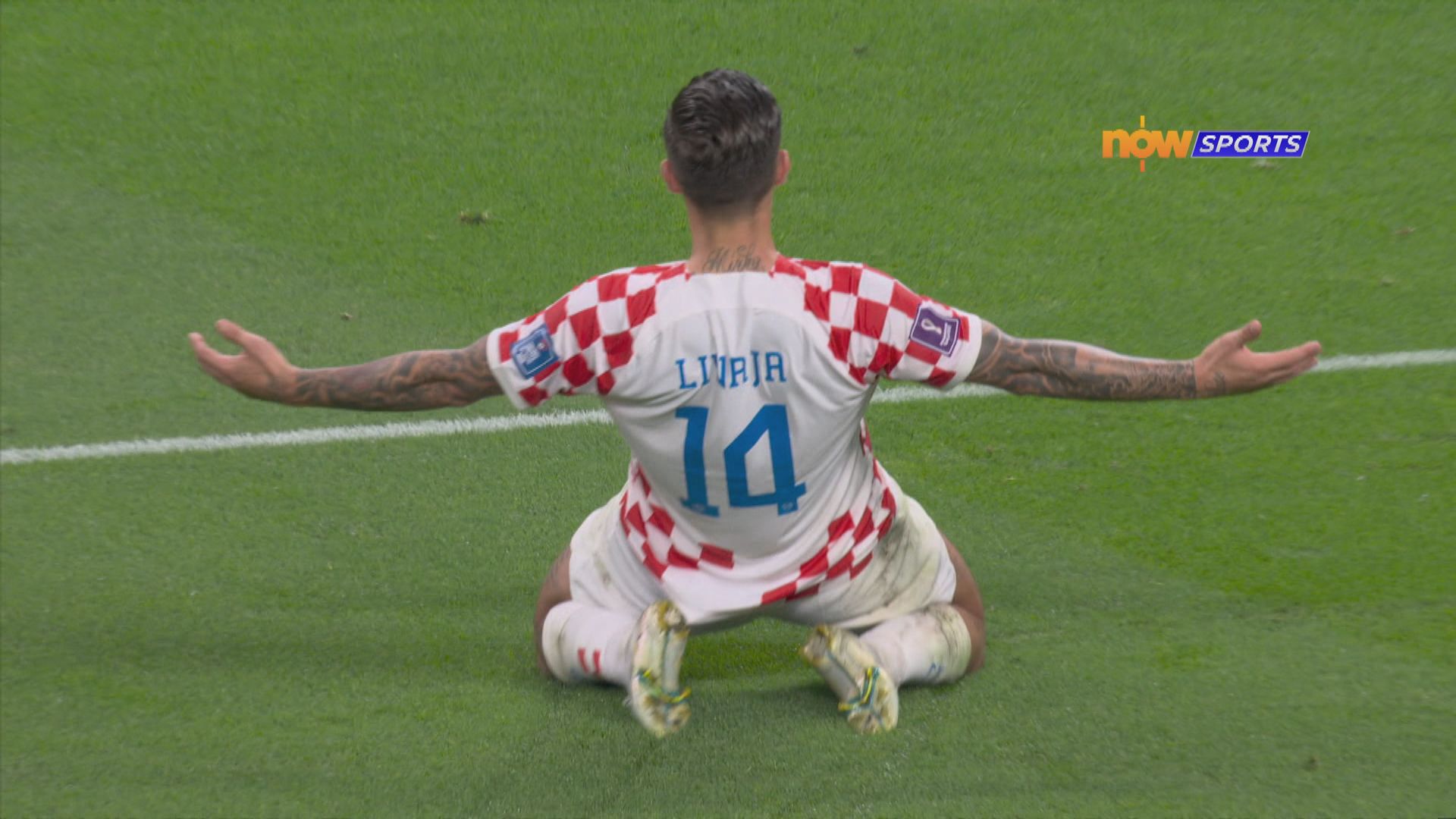 世界盃F組　克羅地亞4：1加拿大