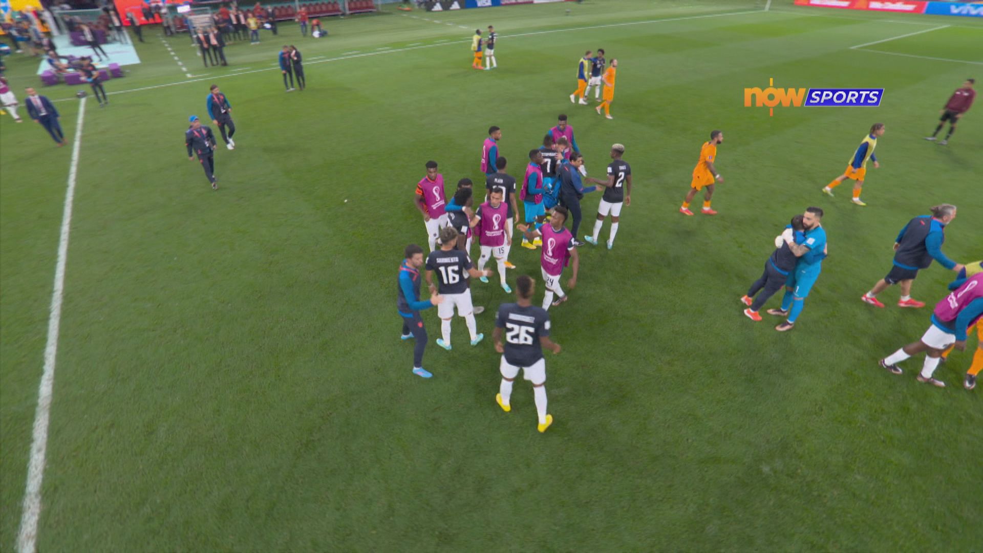 世界盃A組　荷蘭1:1厄瓜多爾