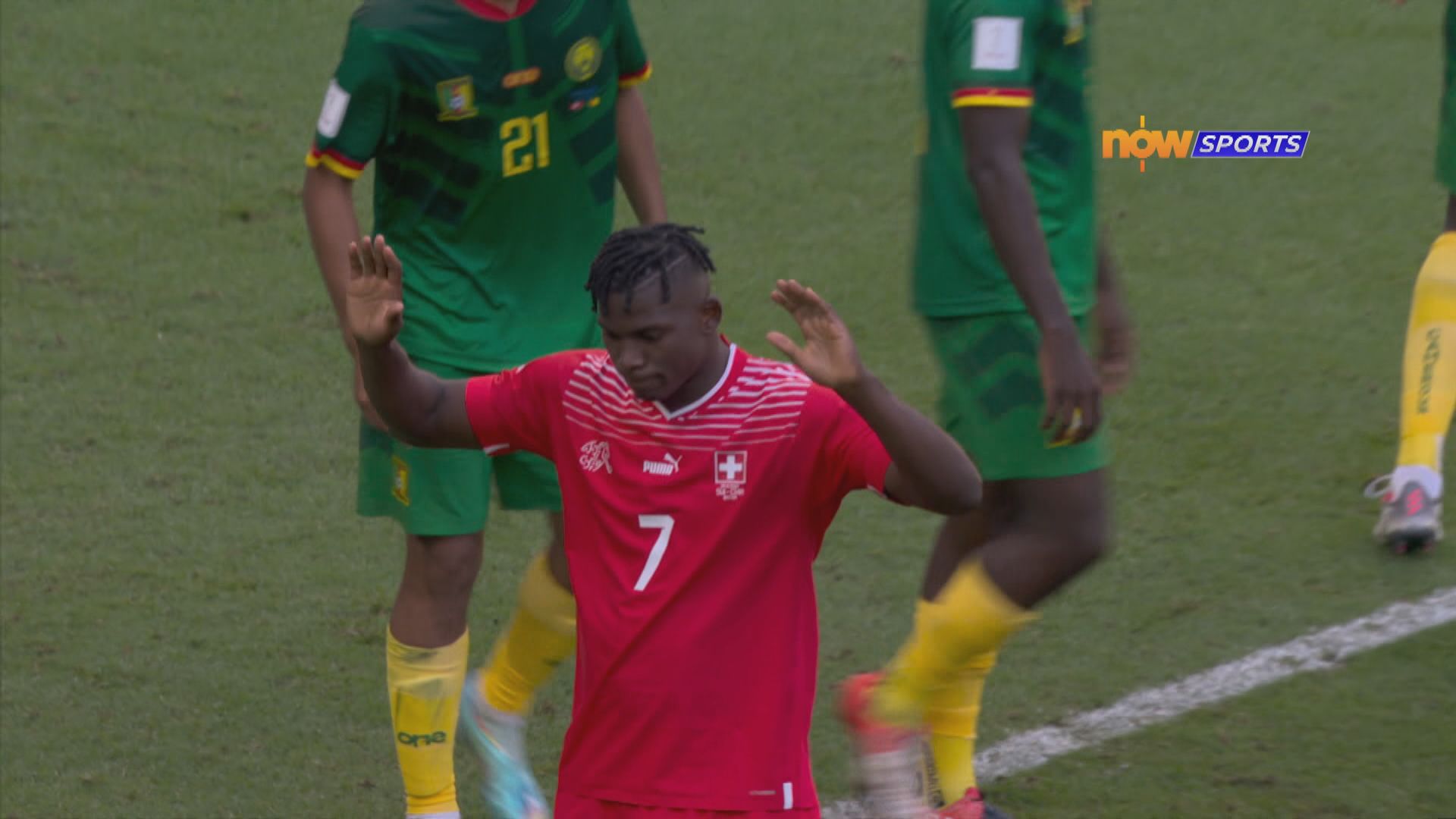 世界盃G組　瑞士1:0喀麥隆