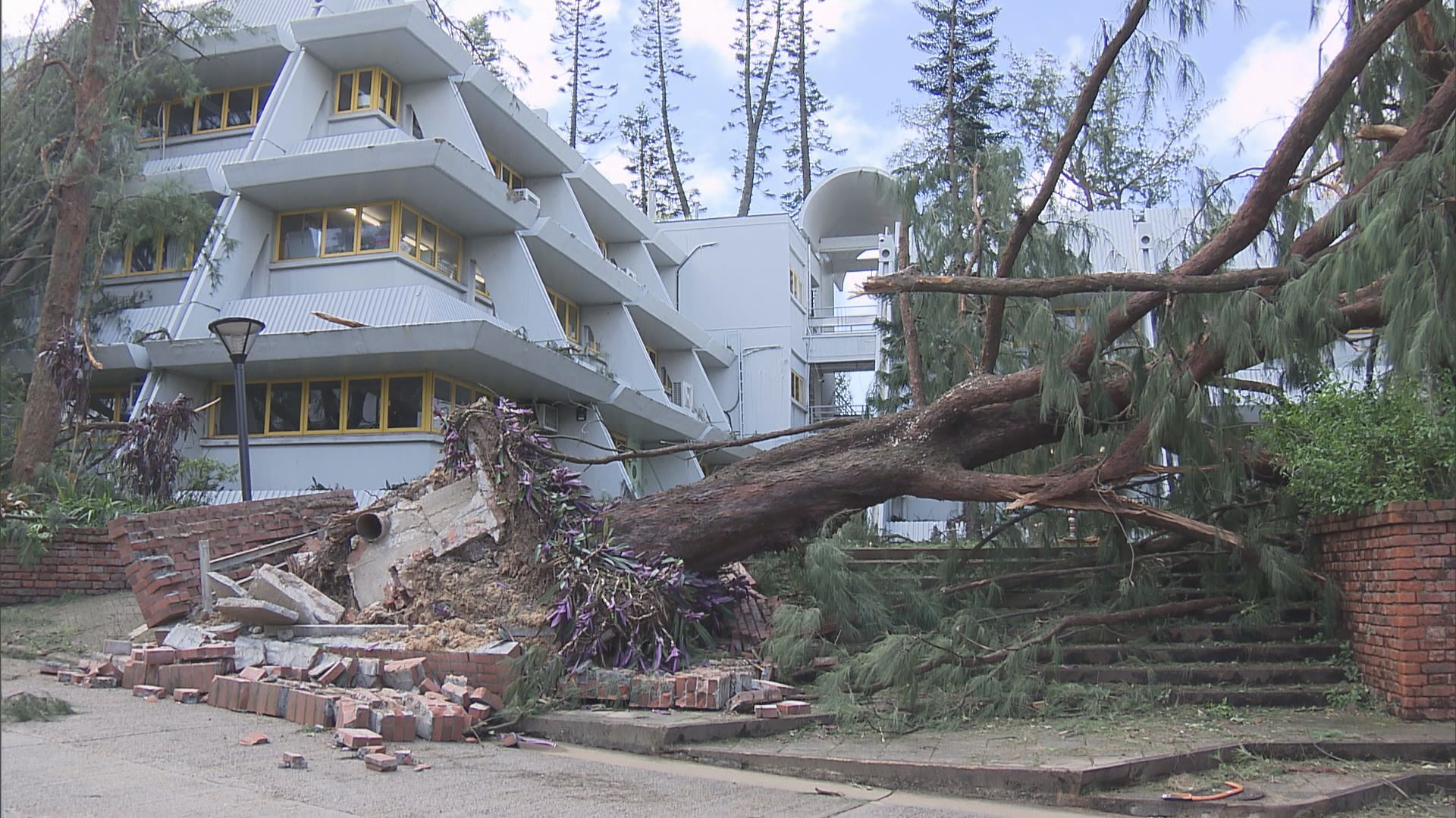 大潭道多處塌樹未清理　來往赤柱交通受阻