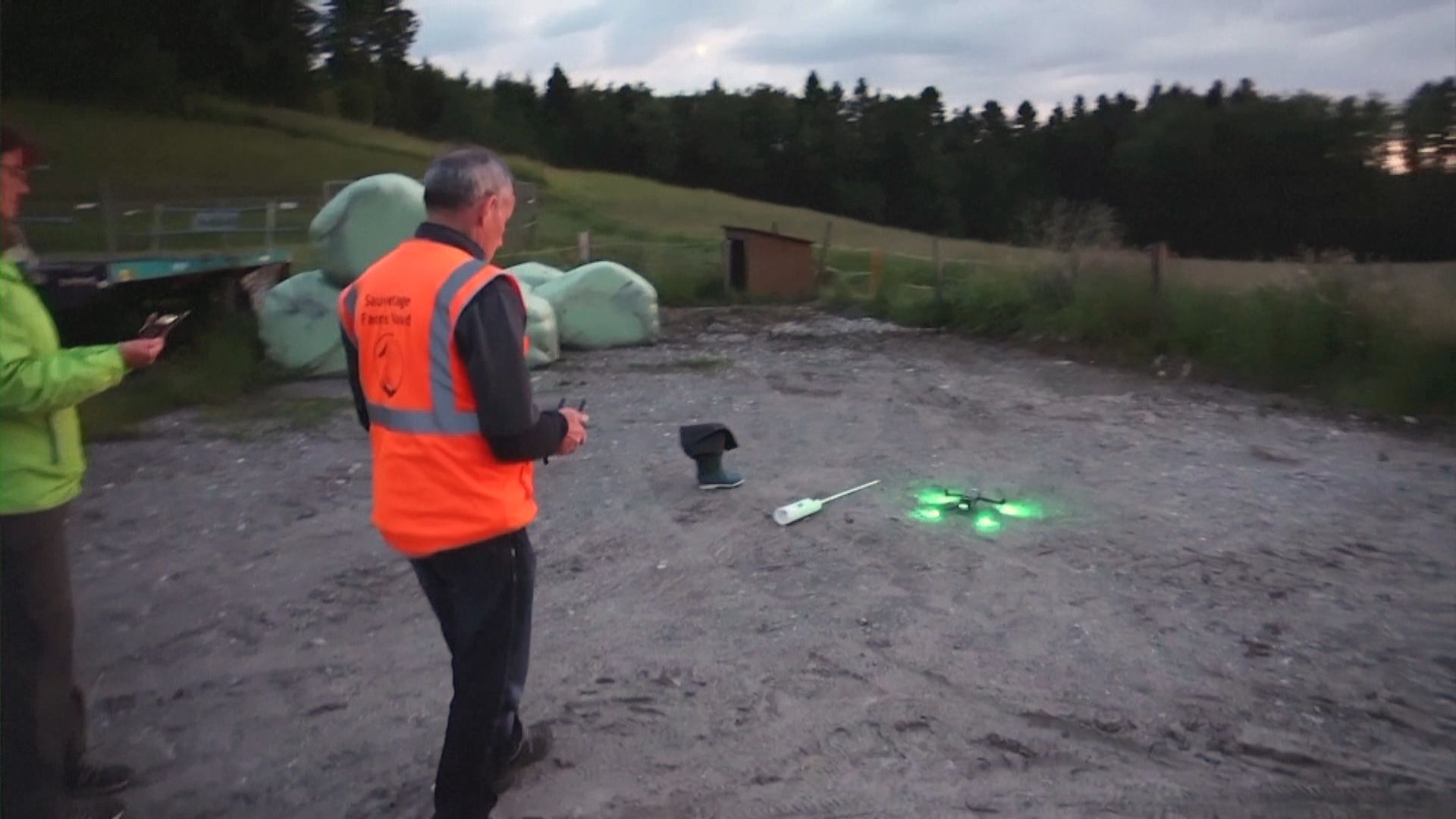 瑞士航拍機助農夫尋田裡幼鹿 免受收割機傷害