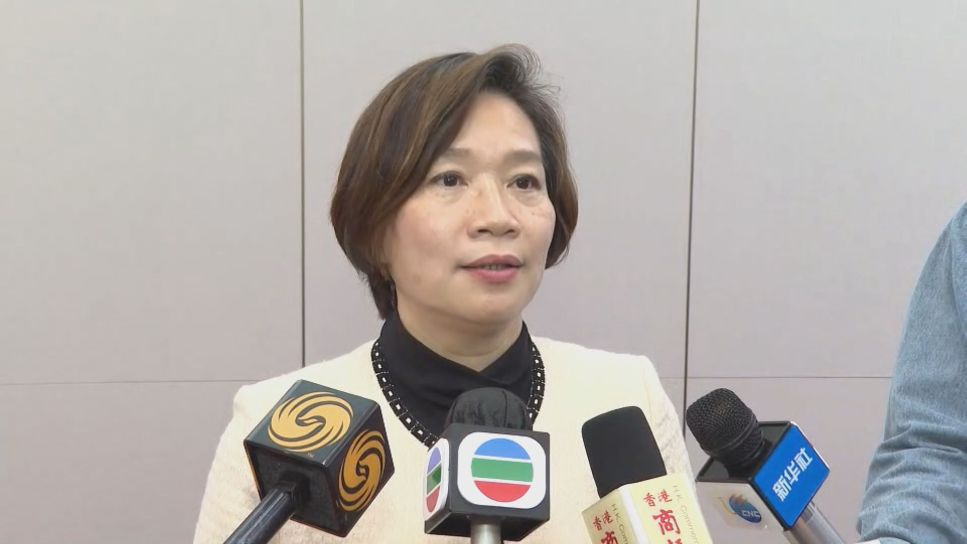 梁美芬倡增設委員會　審議選委會參選人資格