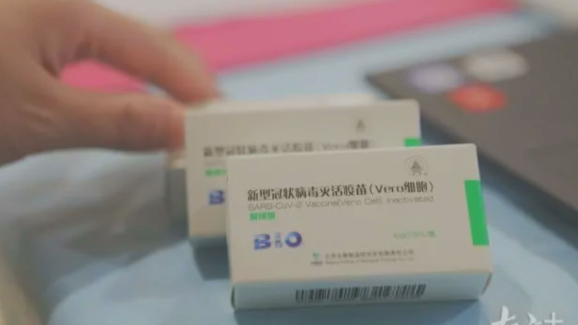 深圳為重點人群接種疫苗　出國人員即日起可接種