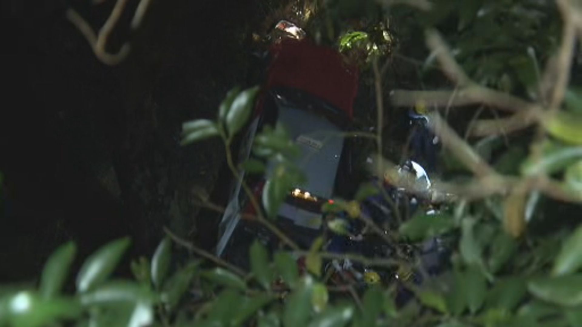 中區半山的士失控衝落山坡釀三傷