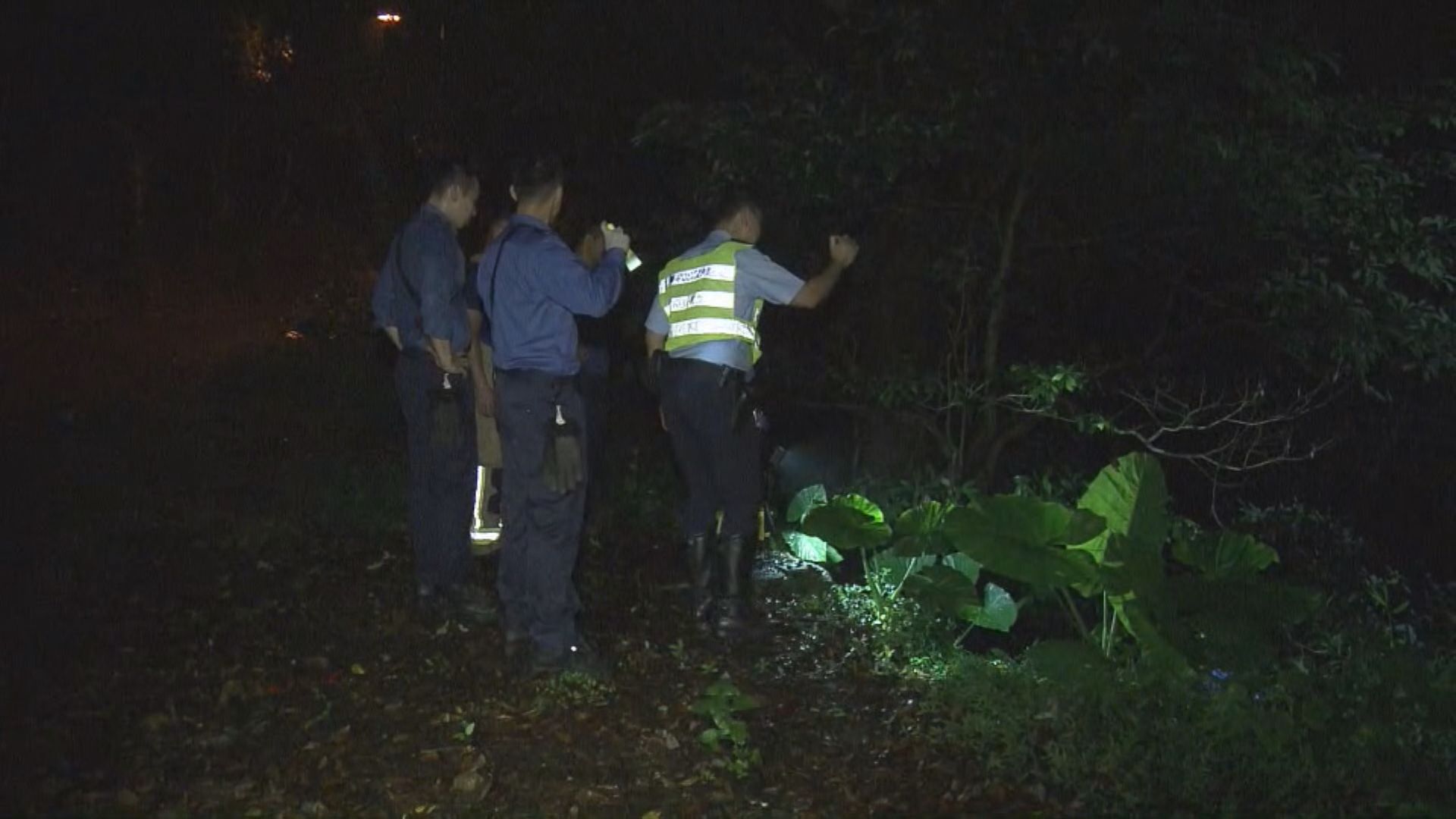 飛鵝山私家車墮坡 3人一度被困