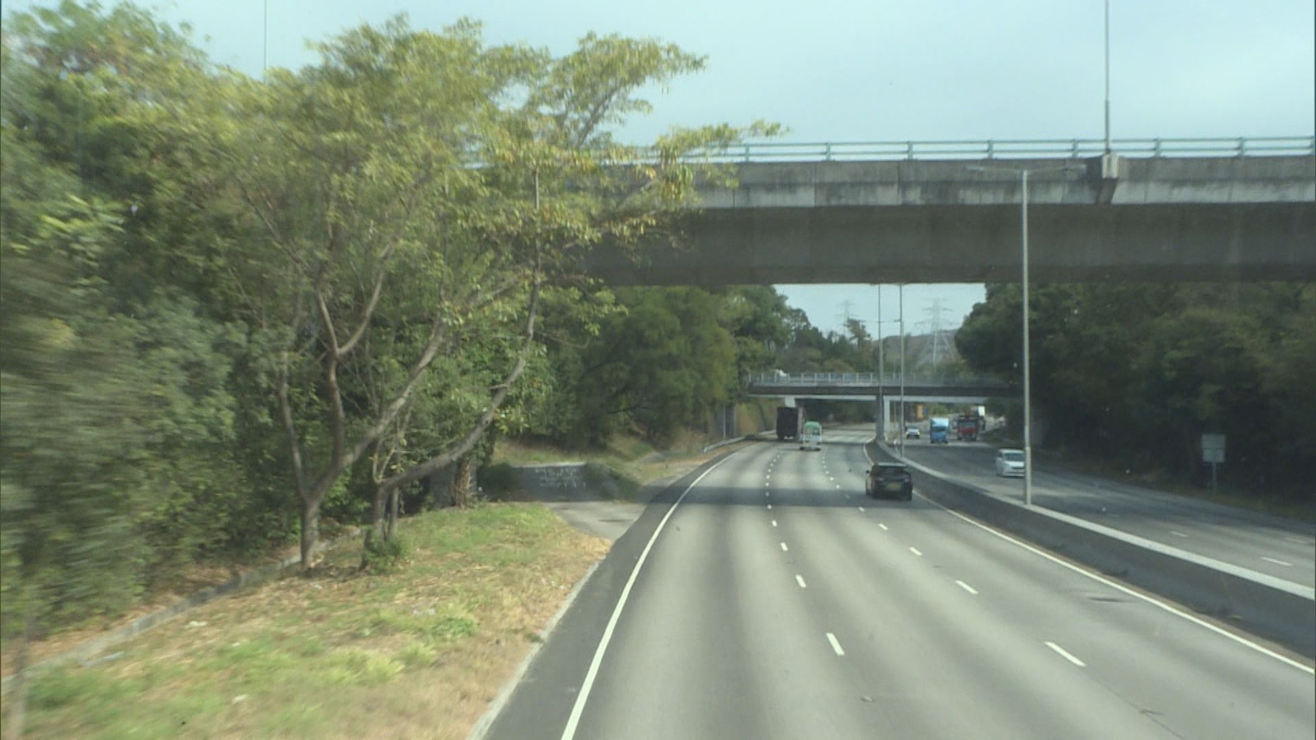粉嶺公路未見大樹幹樹丫伸出行車線