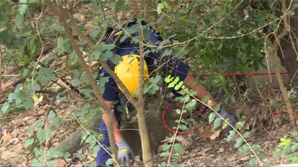 警方到沙田致命車禍現場搜證