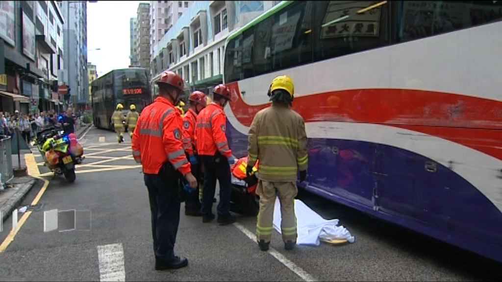 九龍城有旅遊巴撞斃兩途人
