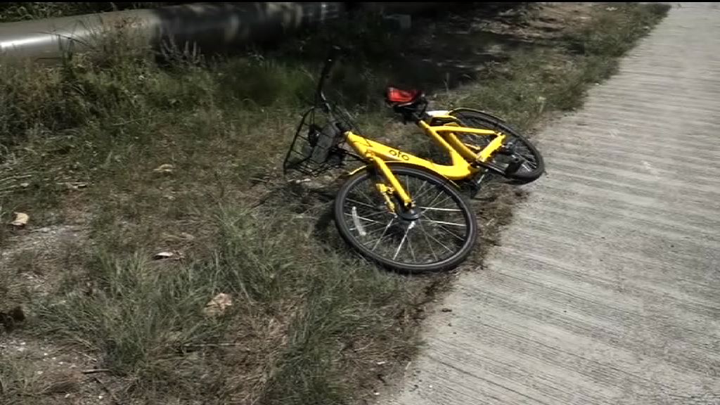 單車與的士東涌相撞　的士司機涉危駕被捕