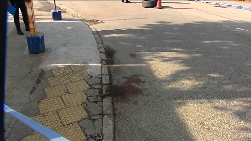 落馬洲車禍　六歲男童傷重不治