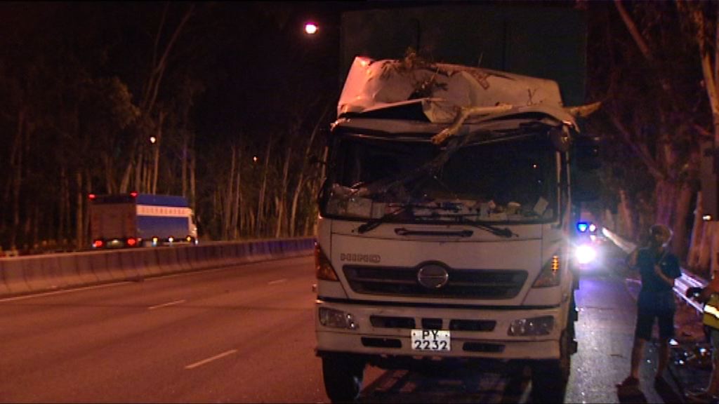 新田公路大樹倒塌壓毀貨車一傷