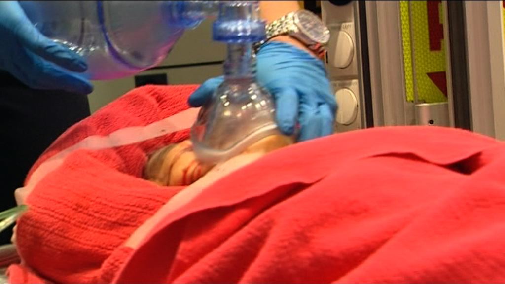 油麻地客貨車撞倒過路老翁